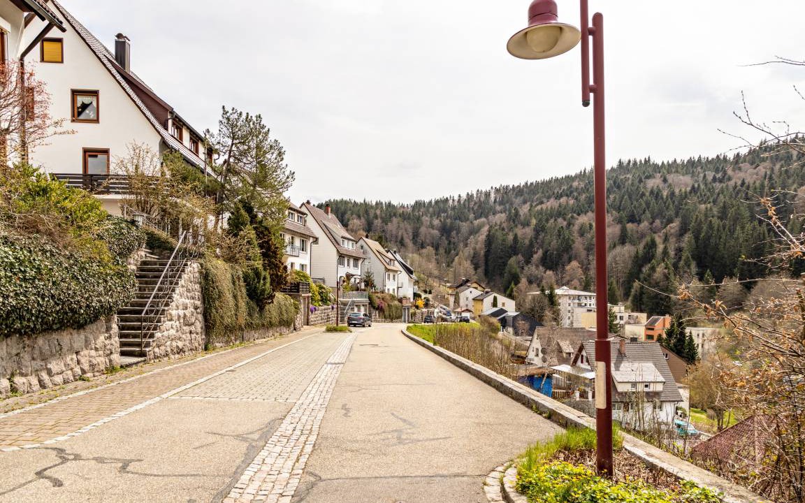 Photo of Others in Triberg im Schwarzwald