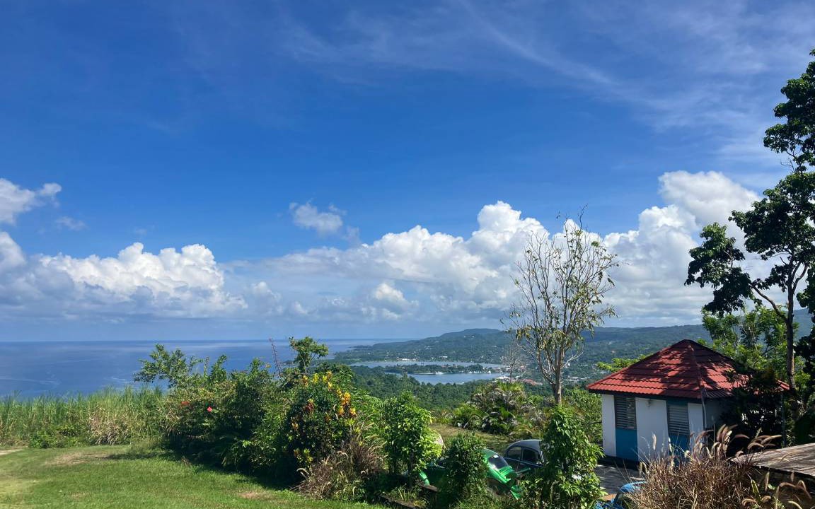 Photo of Others in Port Antonio