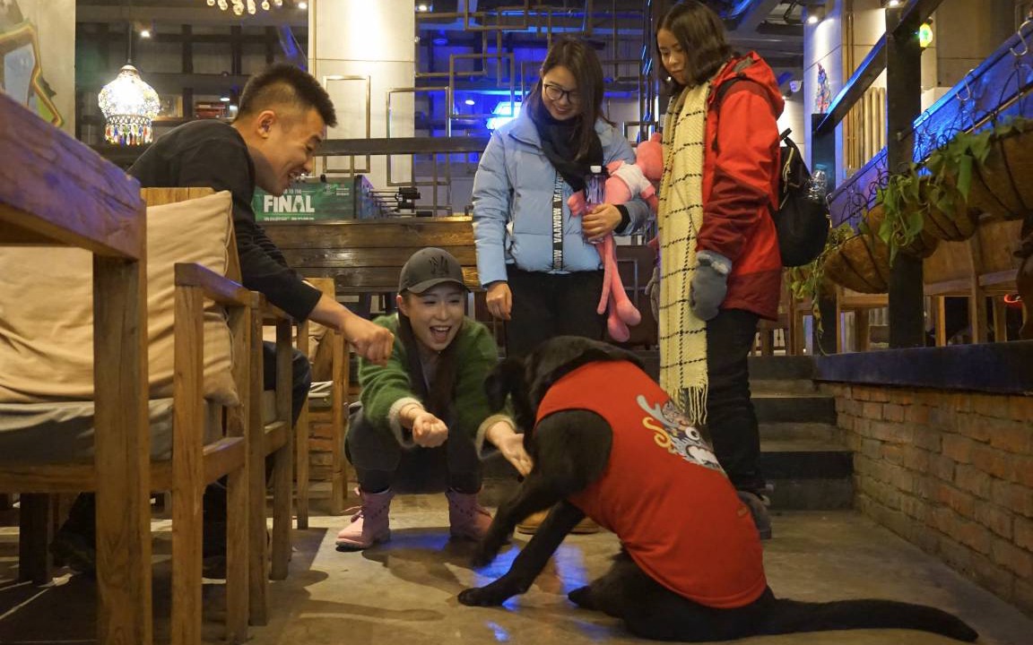 Photo of Others in Xuefu Road University Area