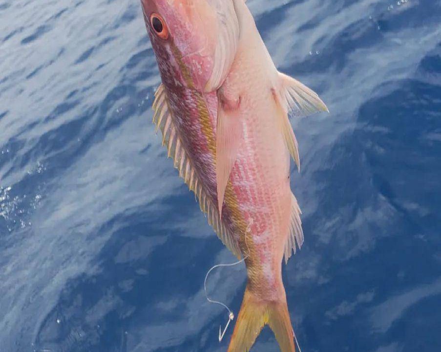 Photo of Others in Soufriere