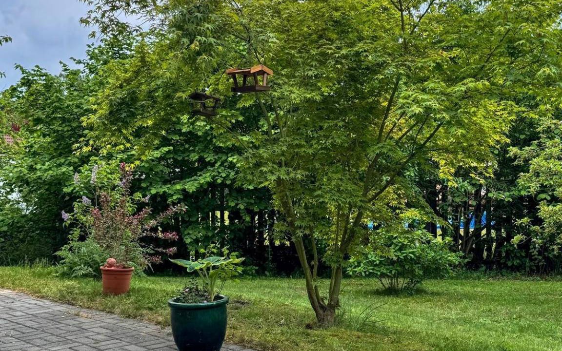 Photo of Others in Hademstorf