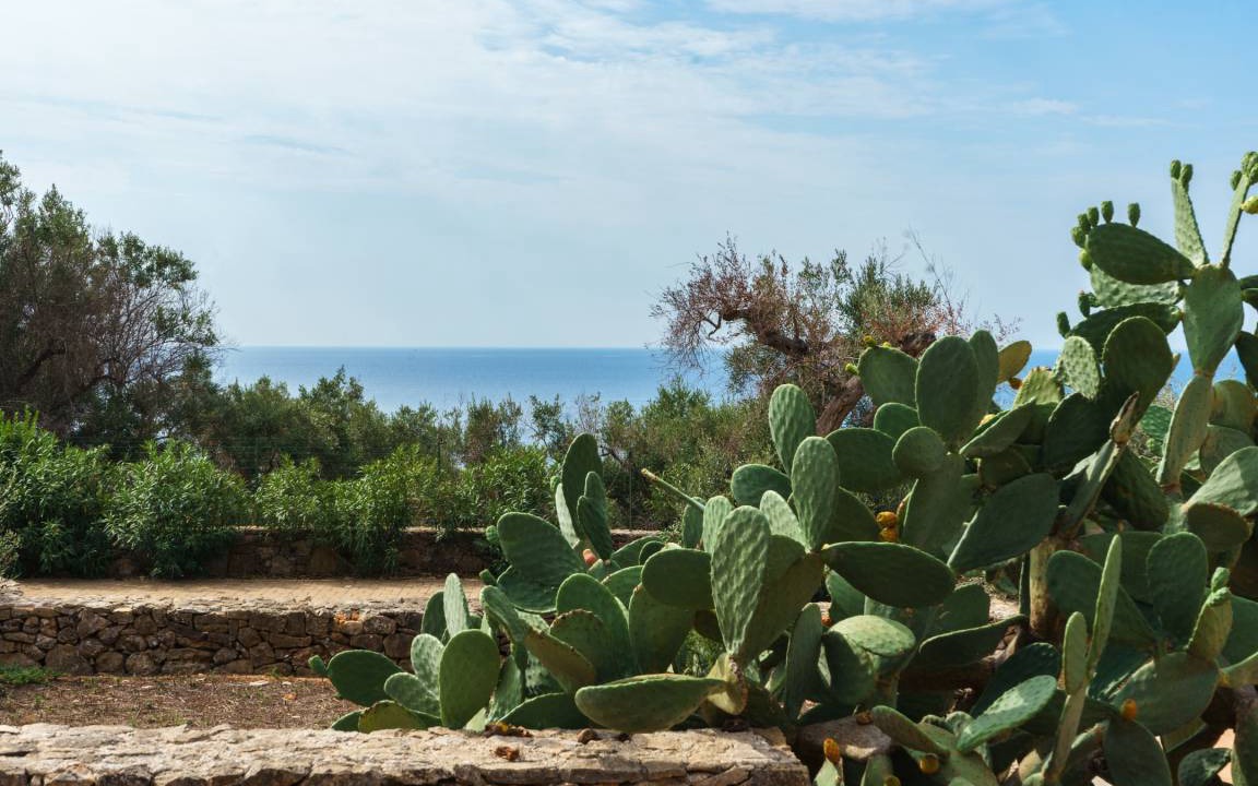 Photo of Others in Torre Vado