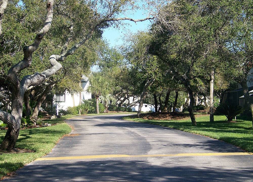 Photo of Others in St. Augustine Beach