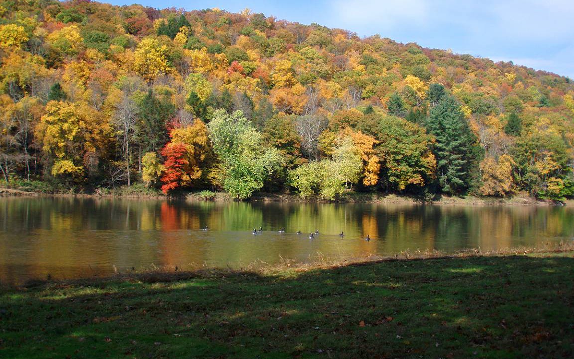 Photo of Others in Callicoon
