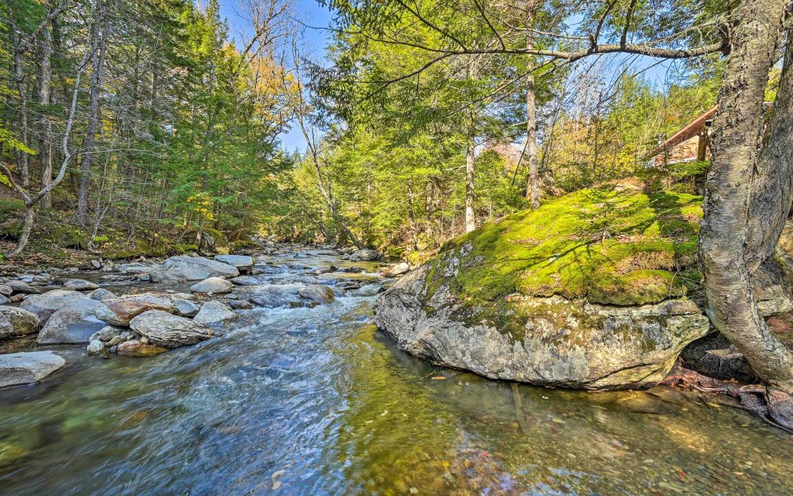 Photo of Others in Stowe Area
