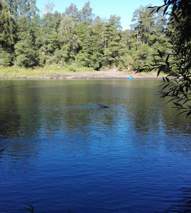Photo of Others in Pucon