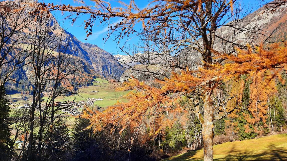 Photo of Others in Matrei in Osttirol