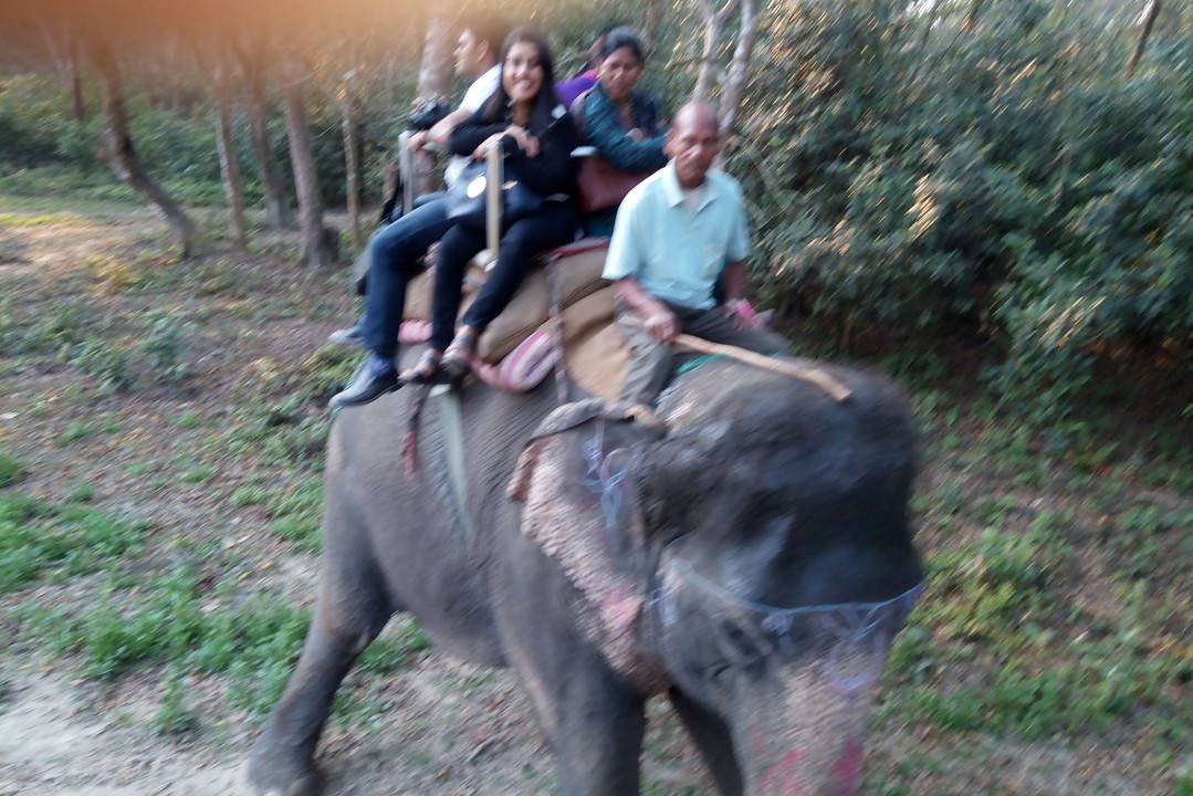 Photo of Others in Bharatpur
