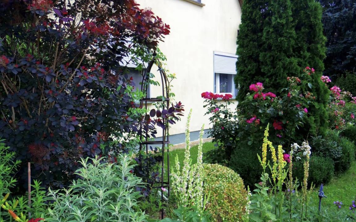 Photo of Others in Schmargendorf