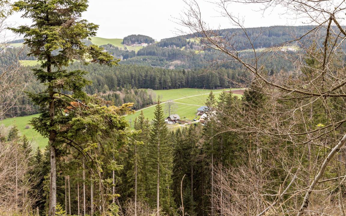 Photo of Others in Triberg im Schwarzwald