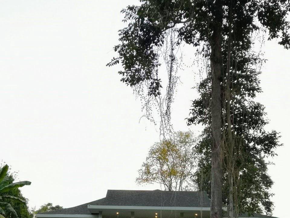 Photo of Others in Khanong Phra