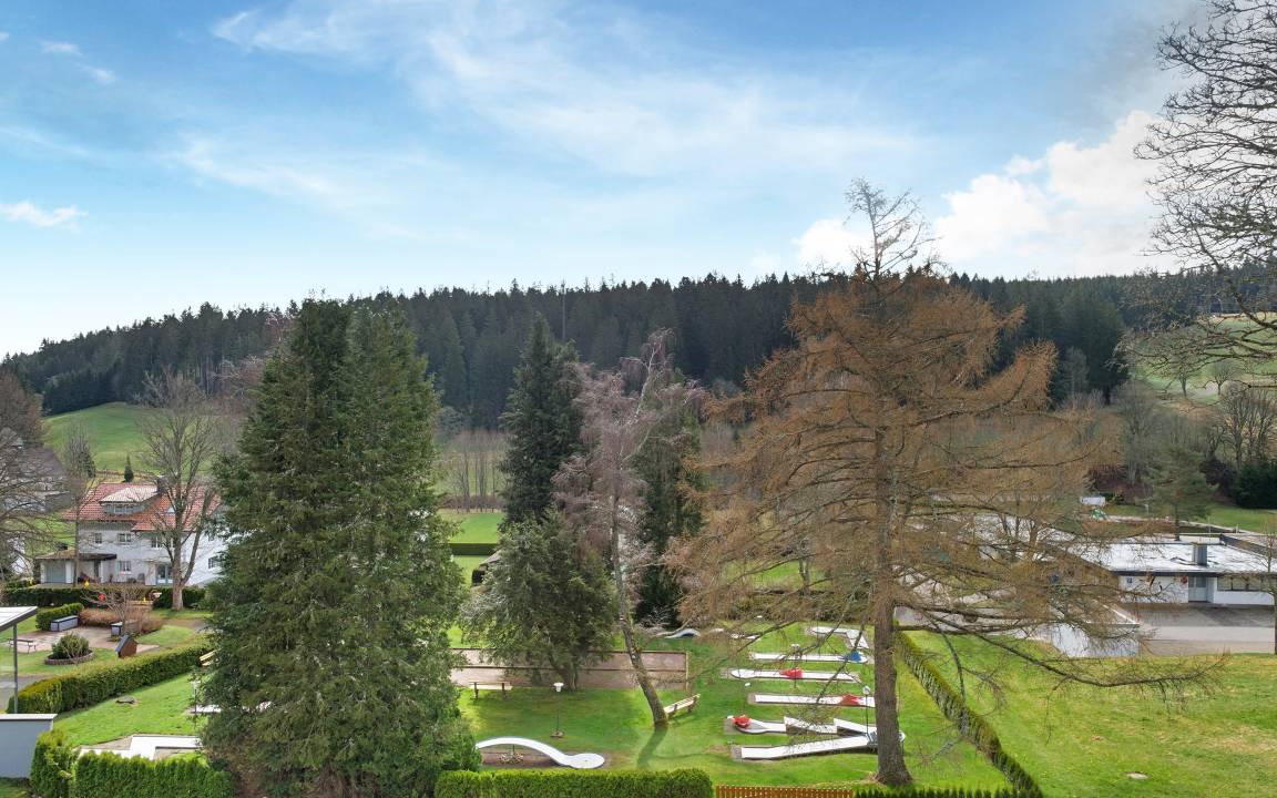 Photo of Others in Schoenwald