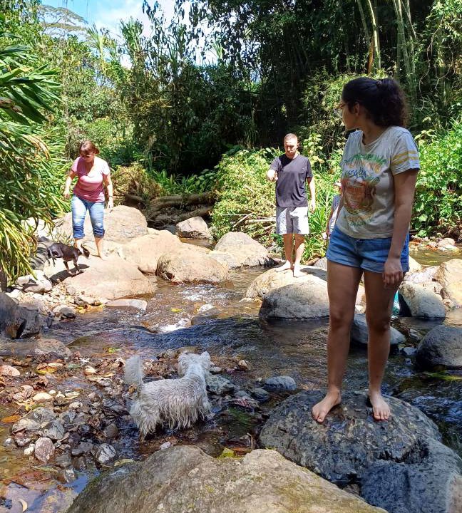 Photo of Others in Jardin