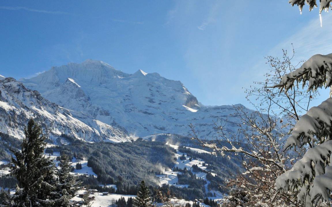 Photo of Others in Wengen
