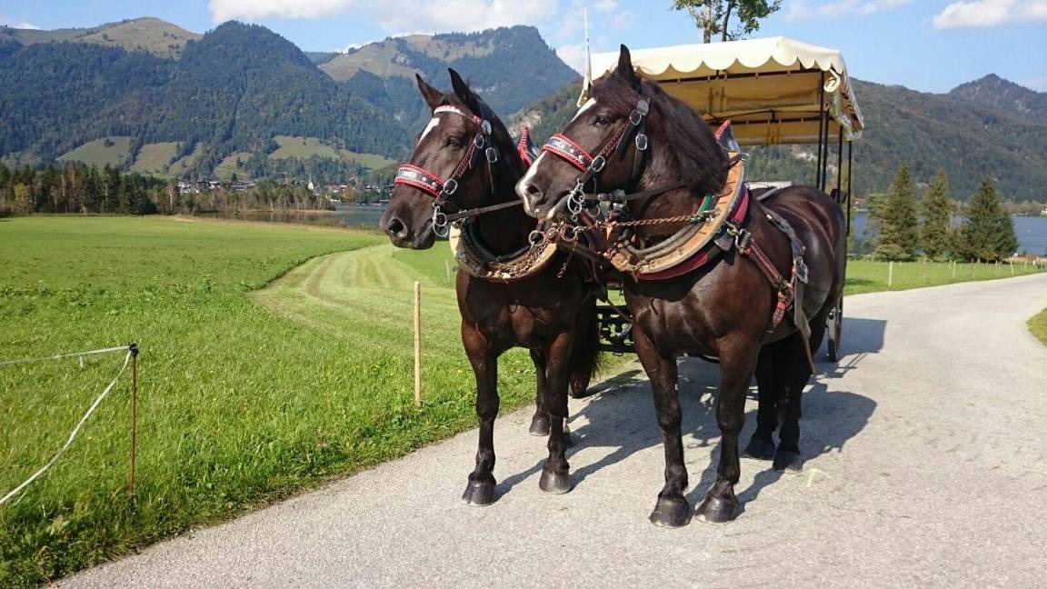 Photo of Others in Walchsee