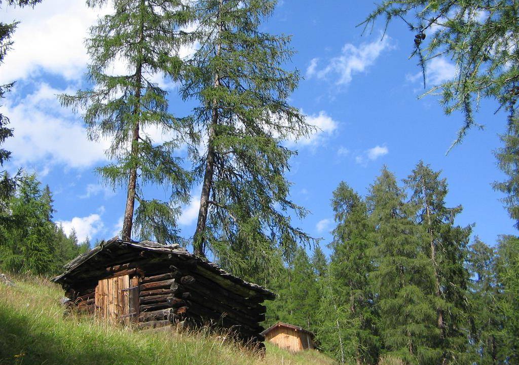 Photo of Others in Neustift Im Stubaital
