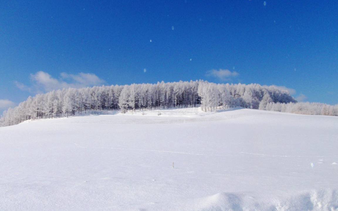 Photo of Others in Furano