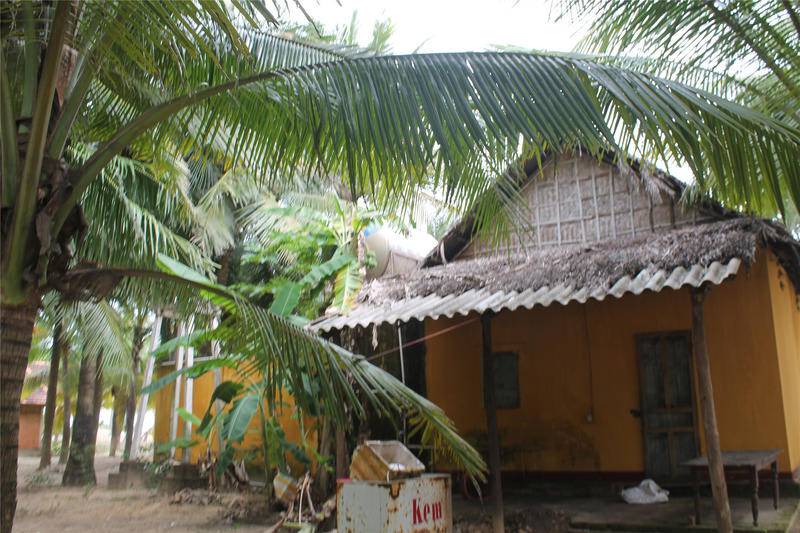 Photo of Others in Tam Ky
