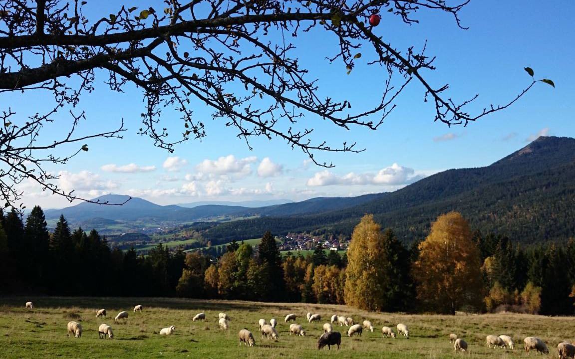 Photo of Others in Lohberg