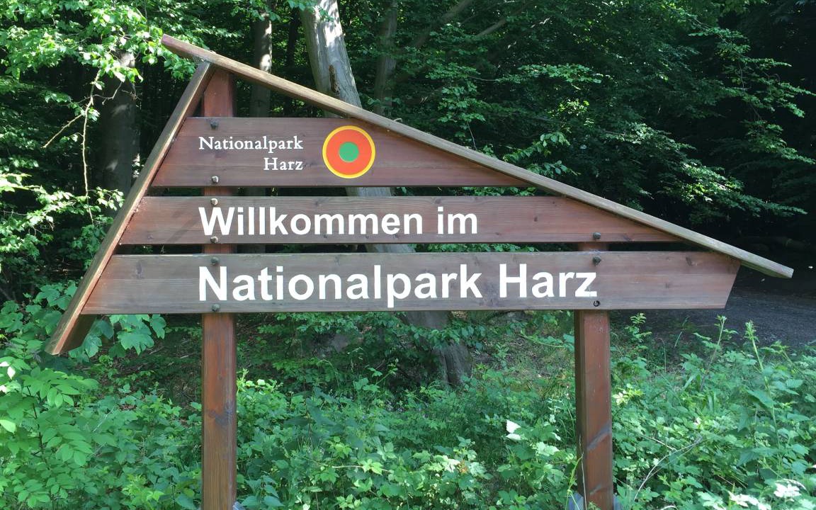 Photo of Others in Bad Harzburg