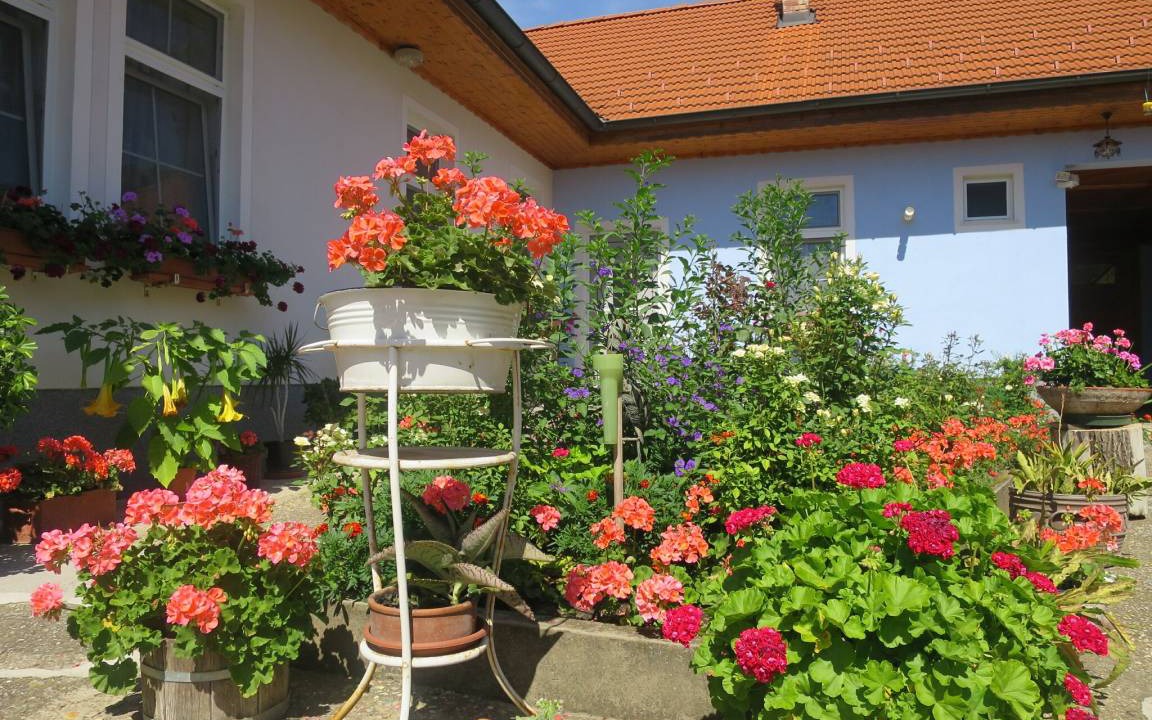 Photo of Others in Sankt Andra am Zicksee