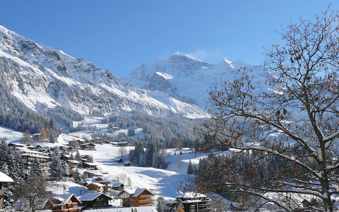 Photo of Others in Wengen