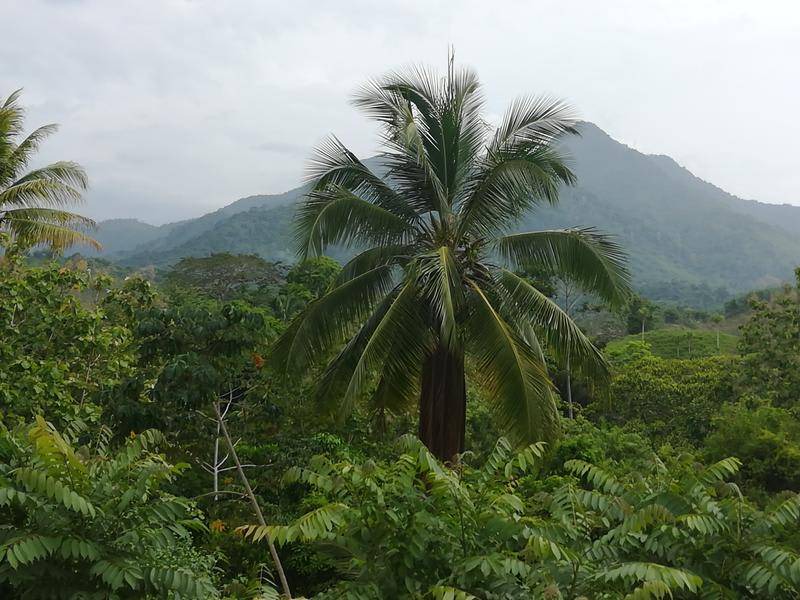 Photo of Others in Santa Marta