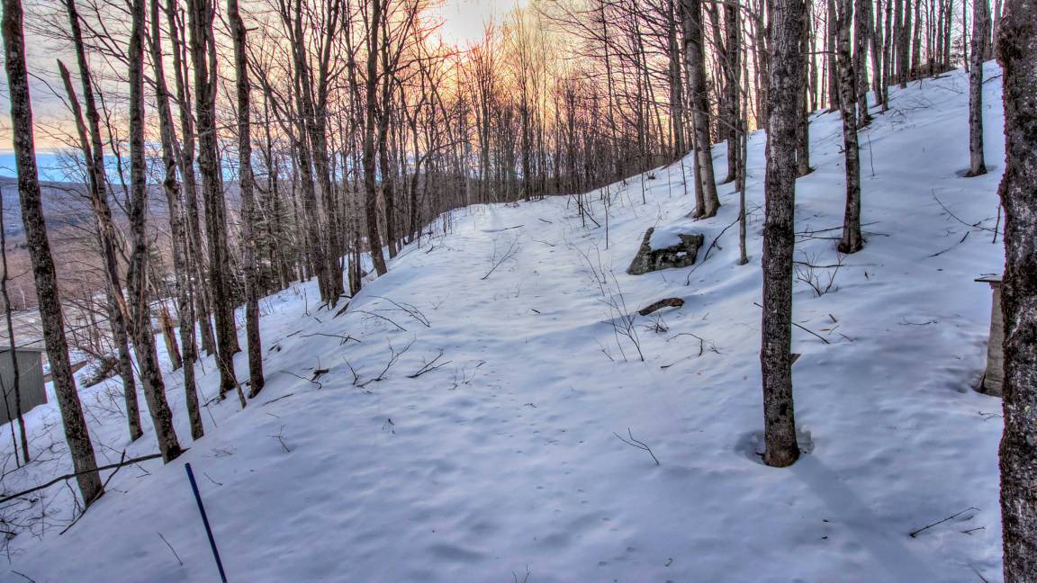 Photo of Others in Bromley Mountain