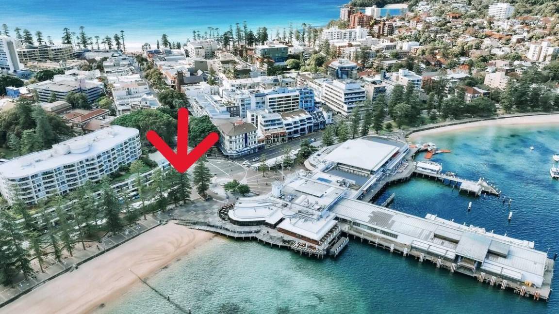 Photo of Others in Manly