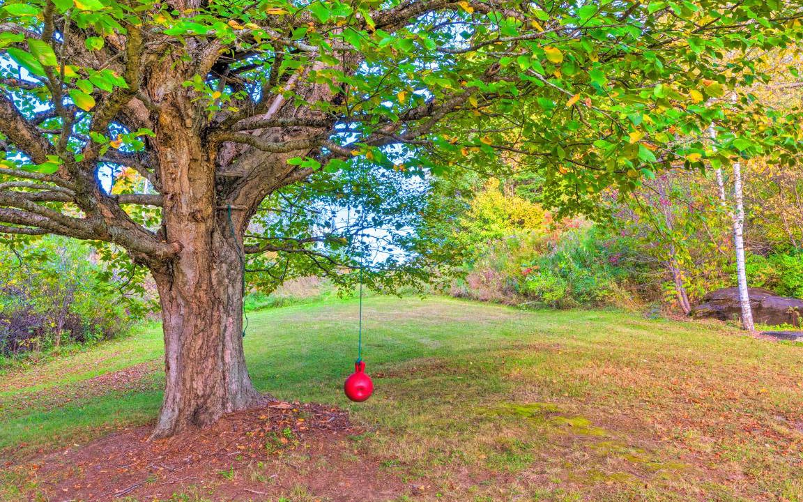 Photo of Others in Walden
