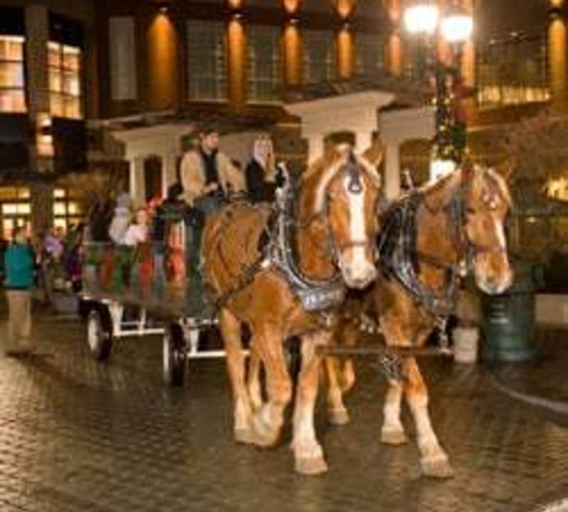 Photo of Others in Hartford
