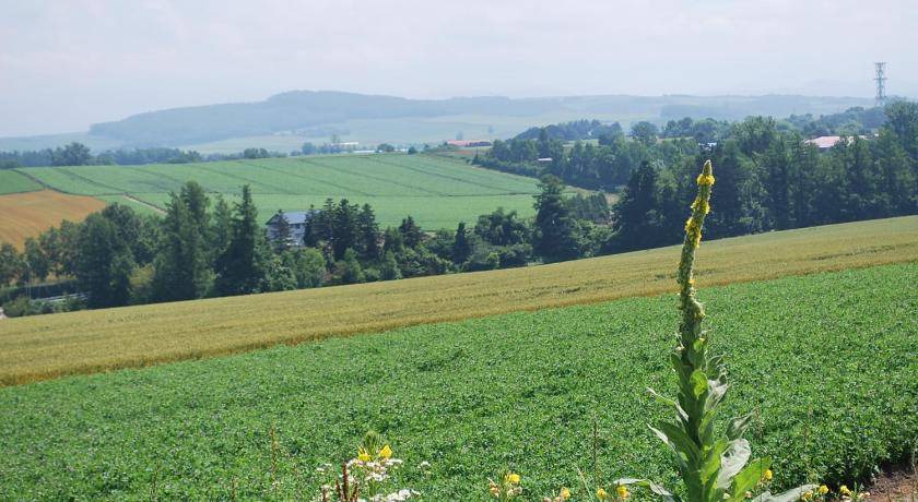 Photo of Outdoor in Biei