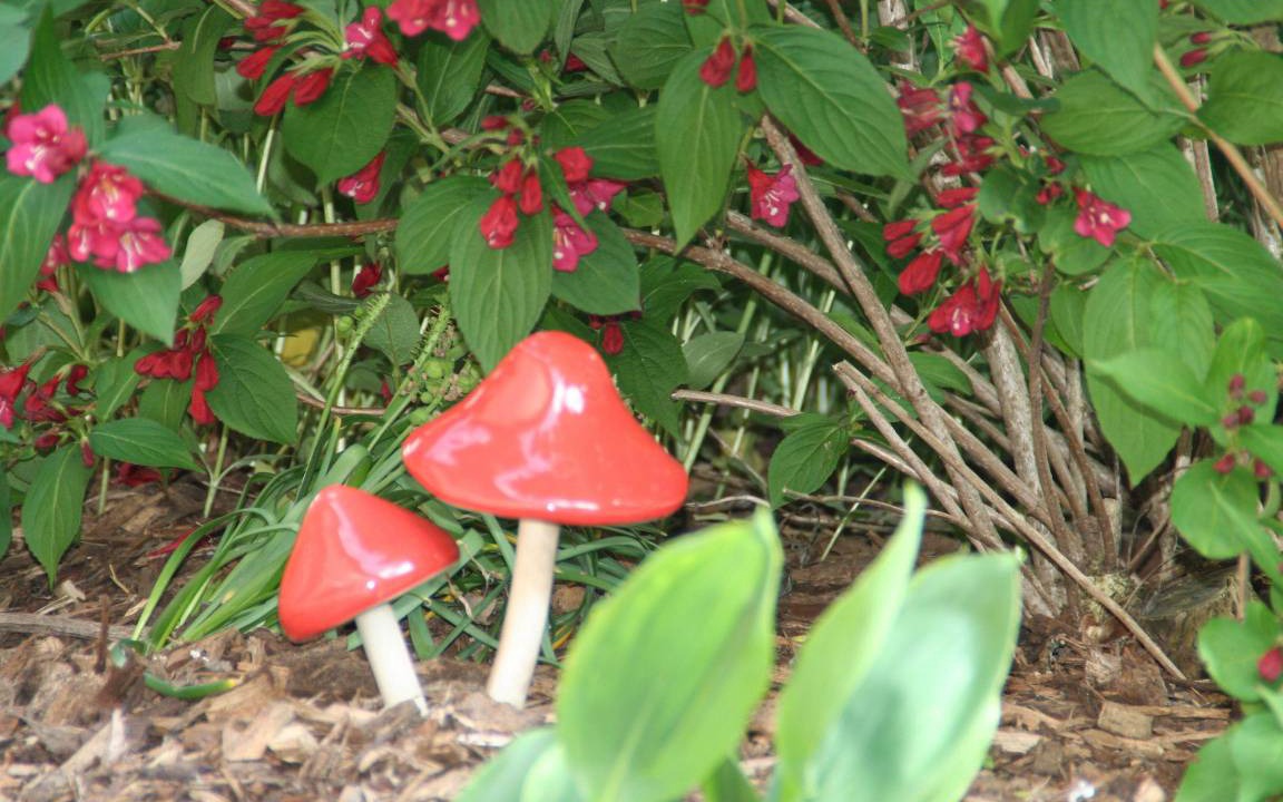 Photo of Others in Suderende