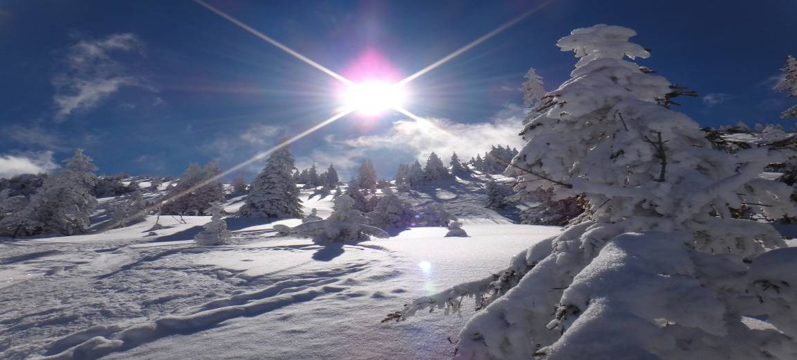 Photo of Others in Jochberg