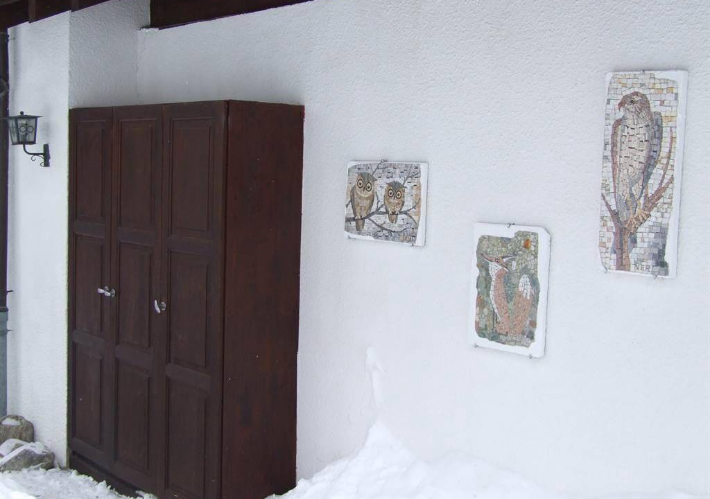 Photo of Others in Bellwald