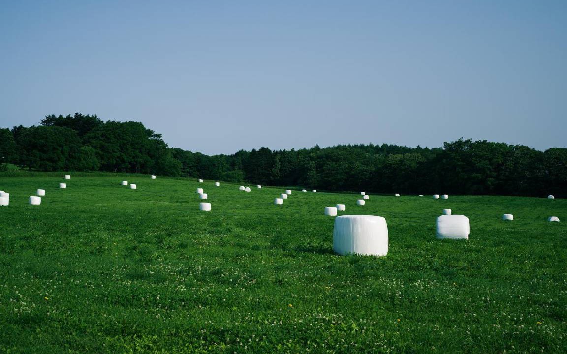Photo of Others in Naganuma