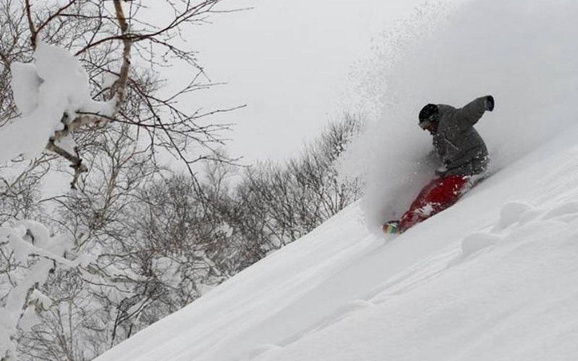 Photo of Others in Niseko