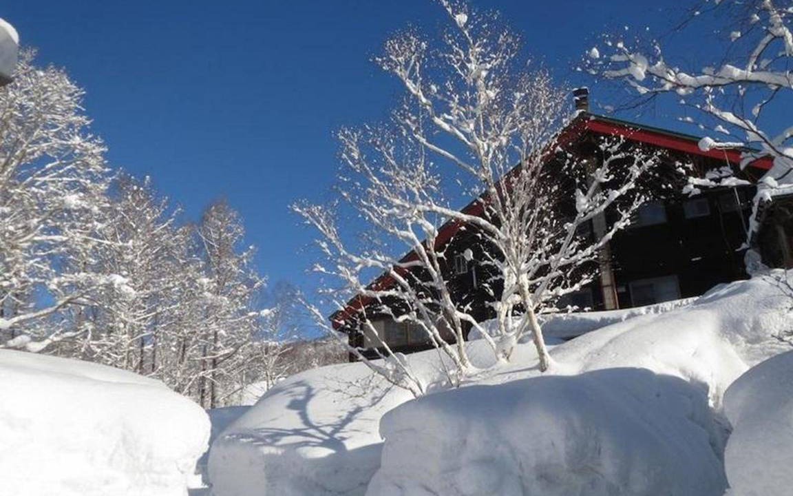 Photo of Others in Niseko