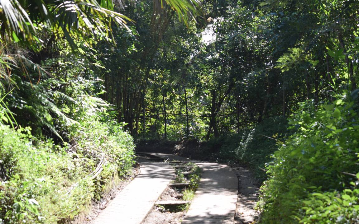 Photo of Others in Santa Marta
