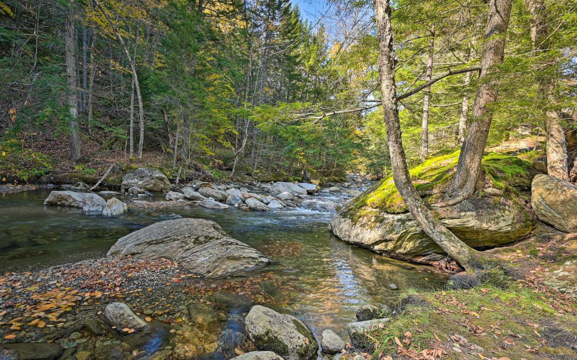 Photo of Others in Stowe Area