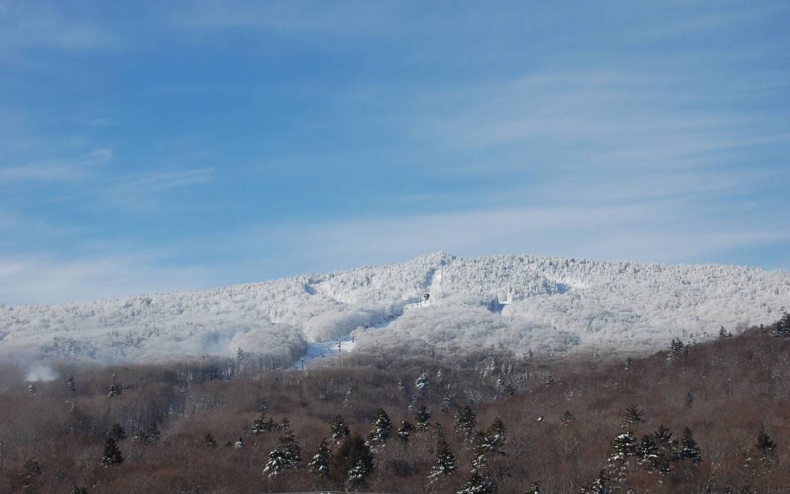 Photo of Others in Pittsfield