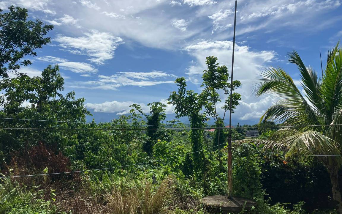 Photo of Others in Port Antonio