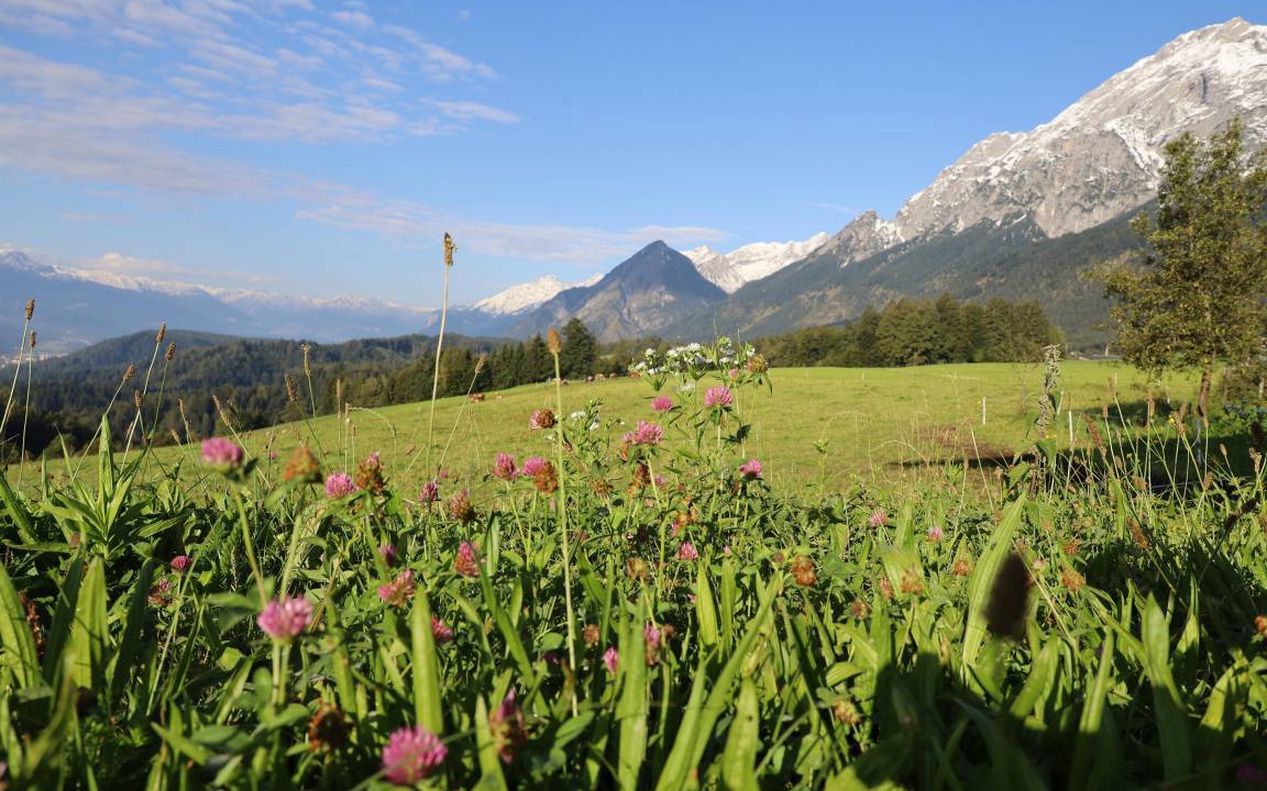 Photo of Others in Gnadenwald