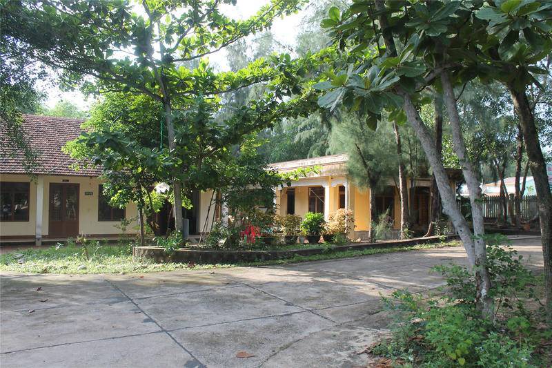 Photo of Others in Tam Ky