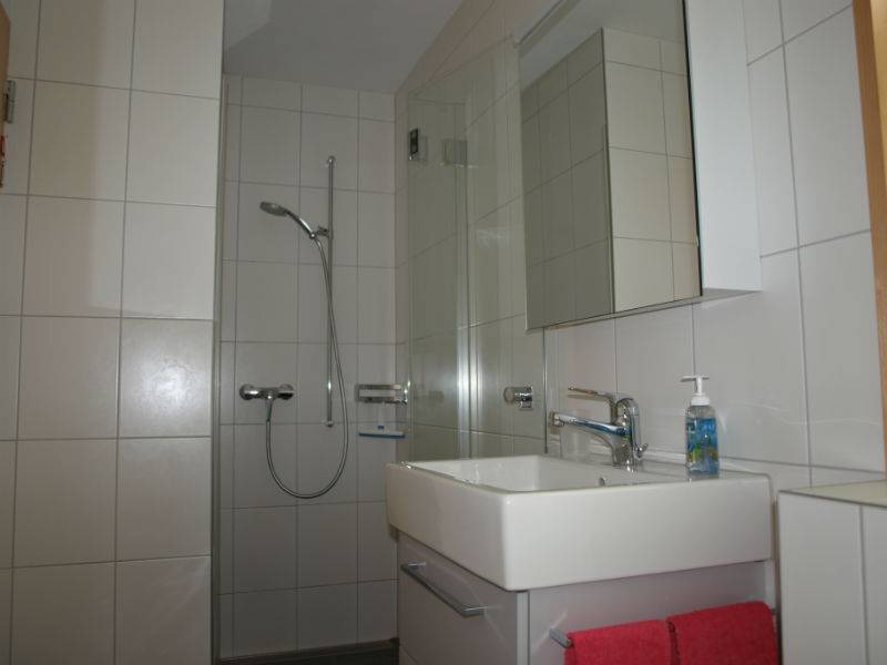 Photo of Bathroom in Safien