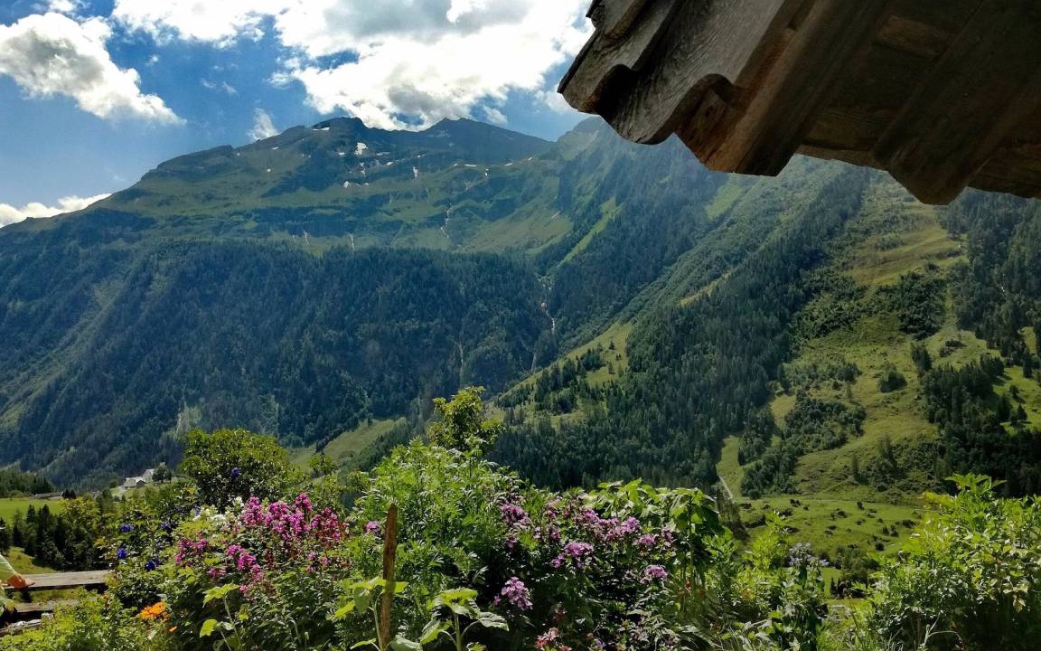 Photo of Others in Zell am See