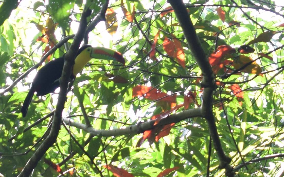 Photo of Others in Santa Marta
