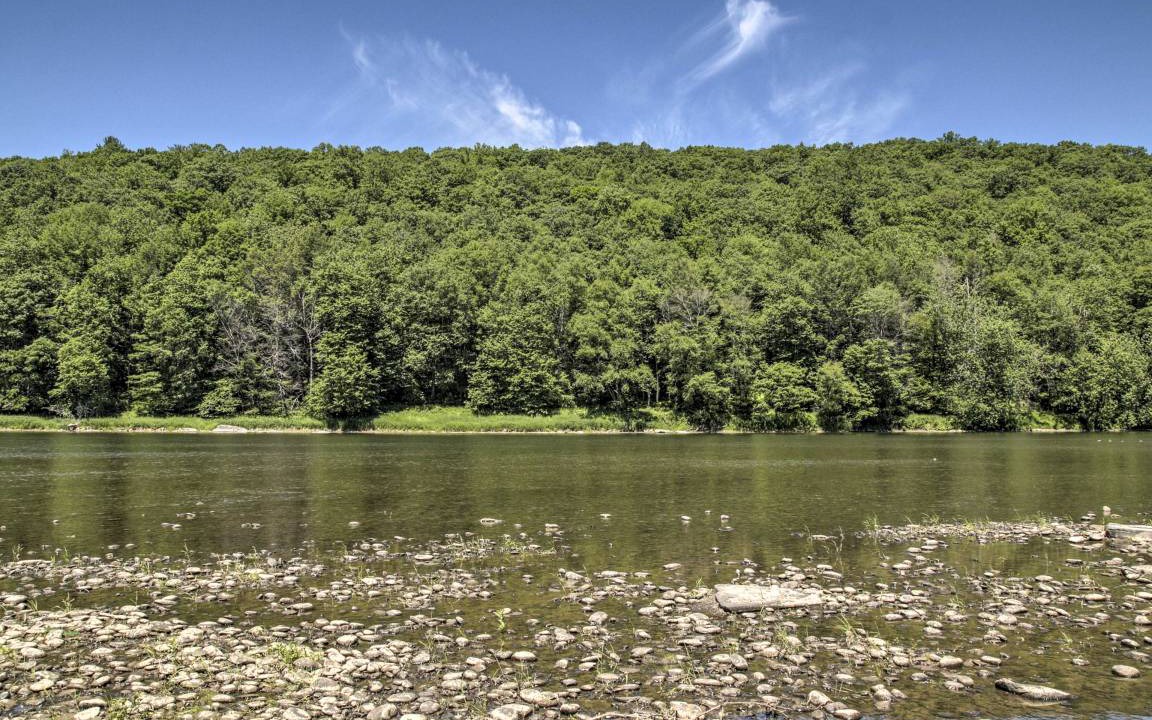 Photo of Others in Callicoon