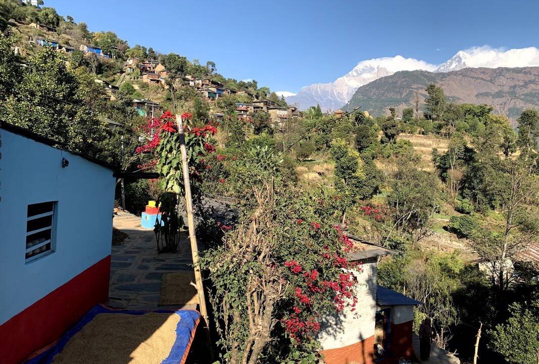 Photo of Others in Annapurna Region