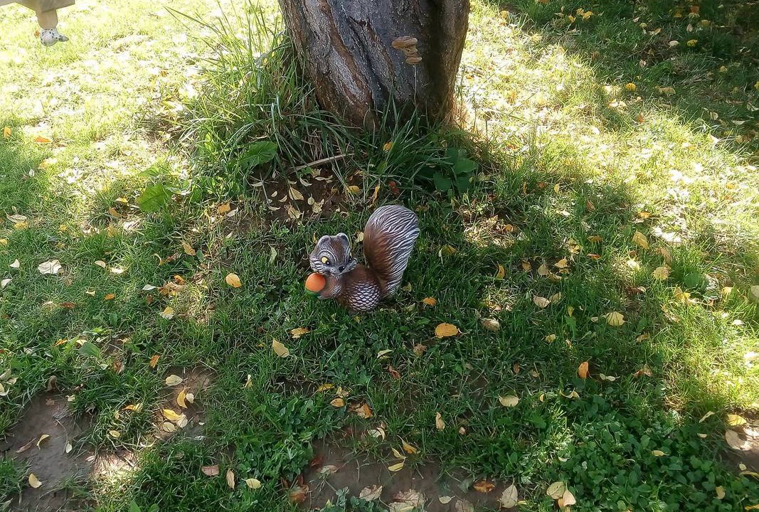 Photo of Outdoor in Veliko Tarnovo